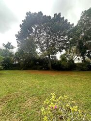 Bin Tong Park (D10), Detached #441820401